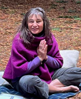 Light Circles in the New Forest